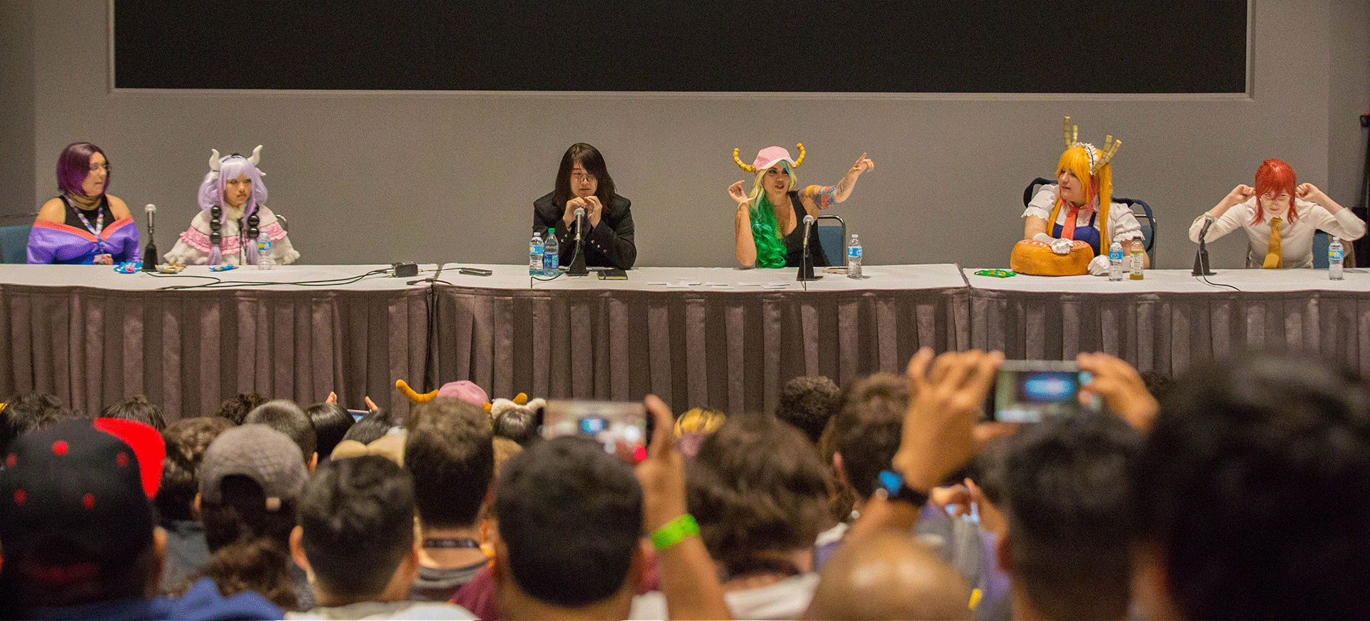 Panel held at AX to serve as a placeholder for Fanime Panel Shot